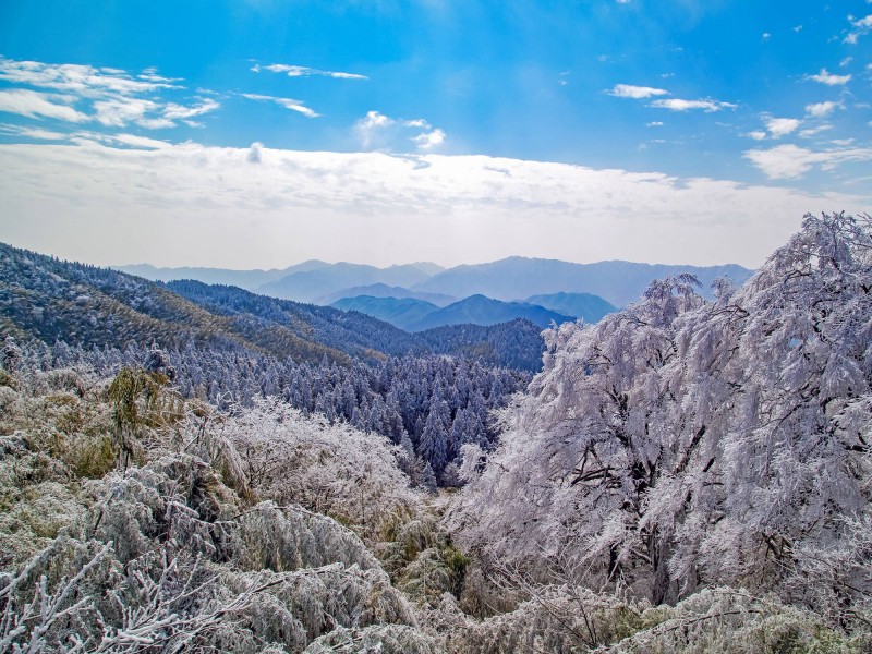 湖南阳明山国家森林公园风景图片