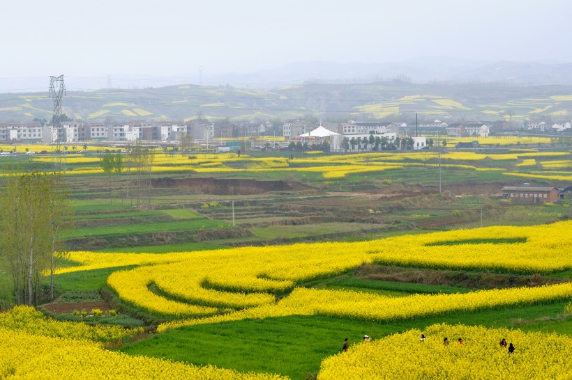 陕西西安风景图片