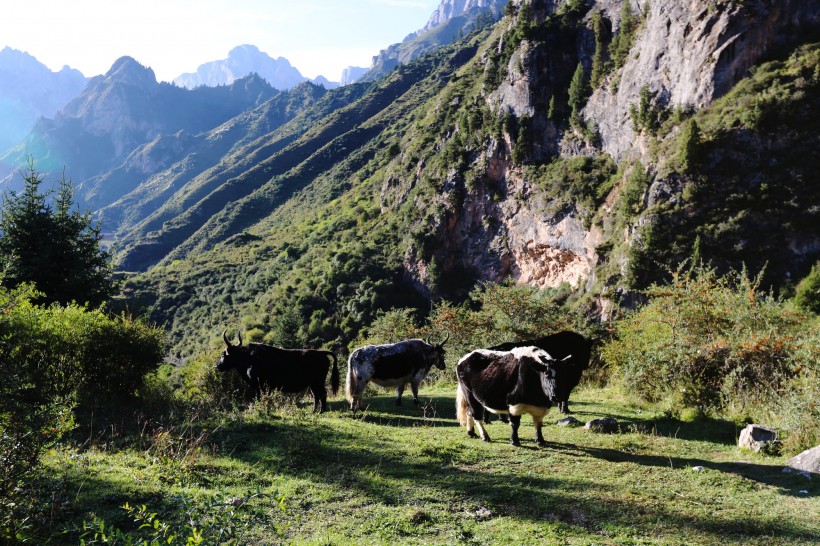 甘肃扎尕那山风景图片