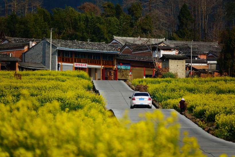 云南腾冲田园风景图片