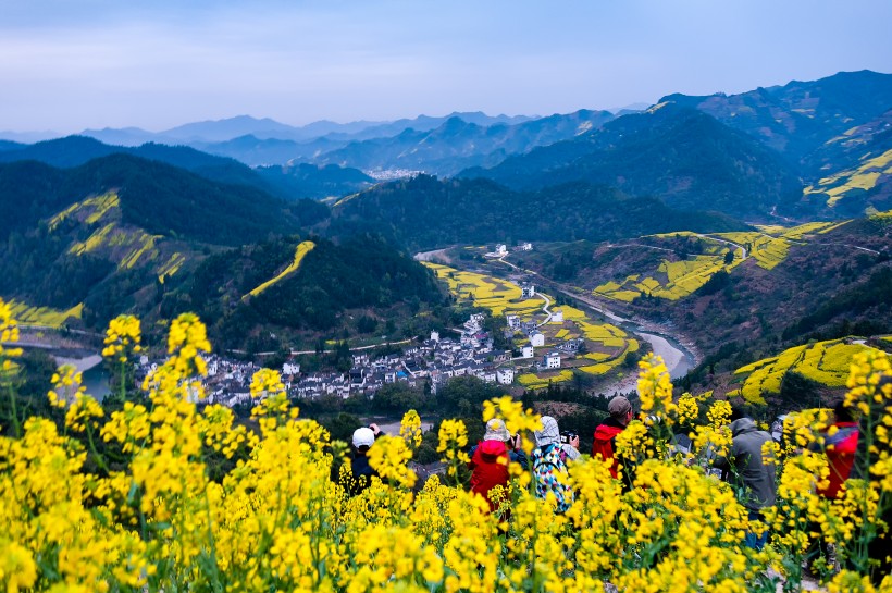 江西婺源油菜花风景图片