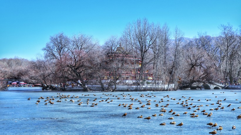 西藏拉萨冬季风景图片