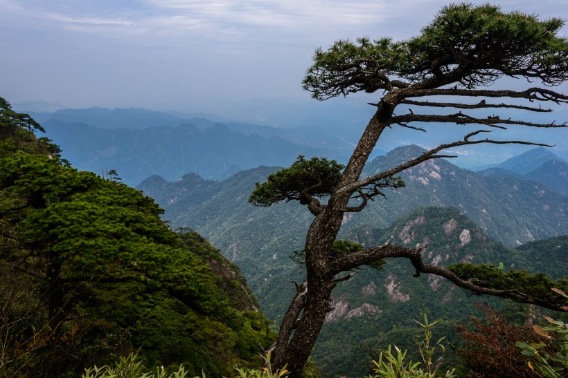 江西三清山风景图片