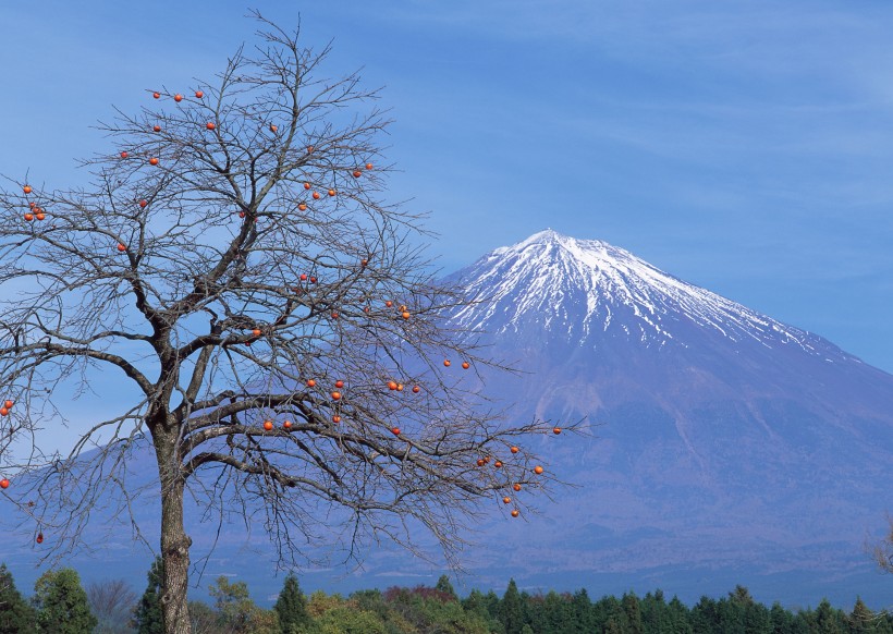 风景优美的富士山图片