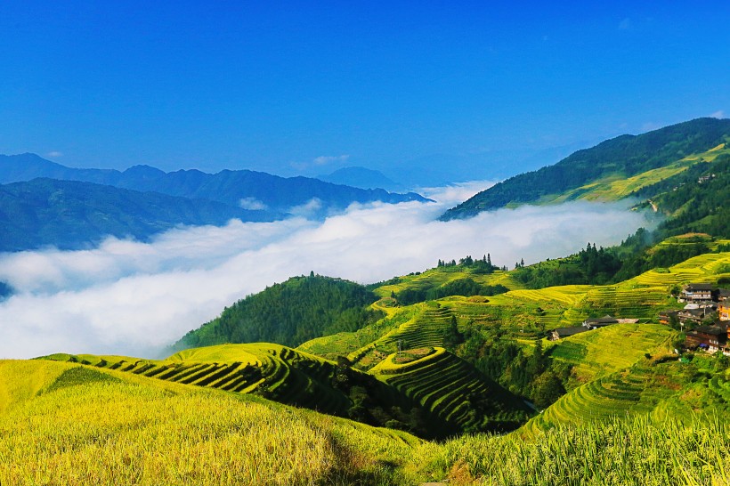 广西龙脊梯田风景图片