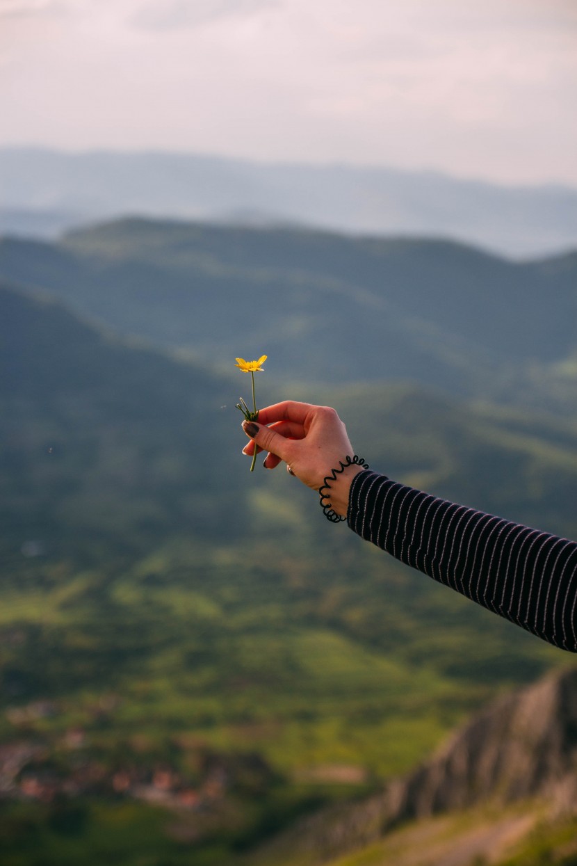 拿鲜花的手部图片