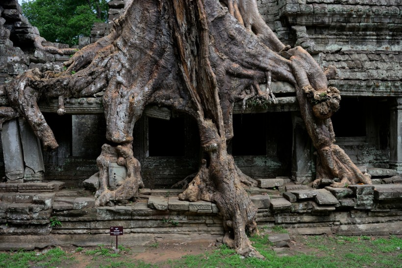 柬埔寨圣剑寺风景图片