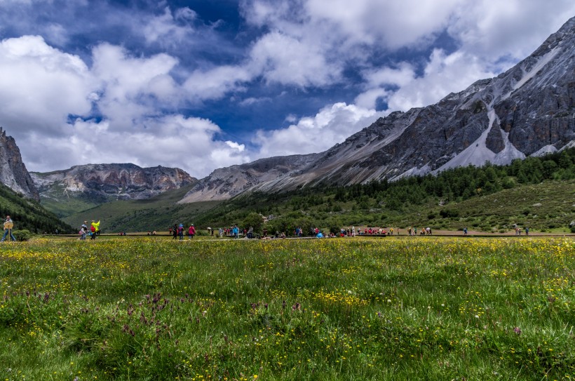 盛夏的四川稻城亚丁风景图片