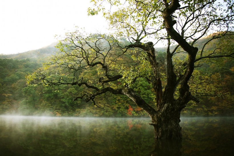 湖光山色图片