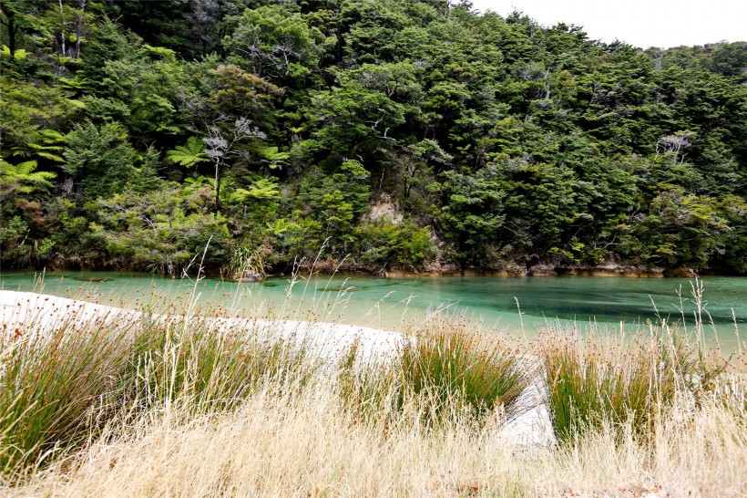 新西蘭阿貝爾·塔斯曼國家公園風(fēng)景圖片