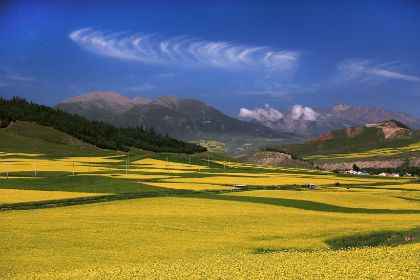 青海祁連山風(fēng)景圖片