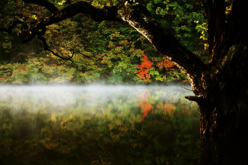 湖光山色图片