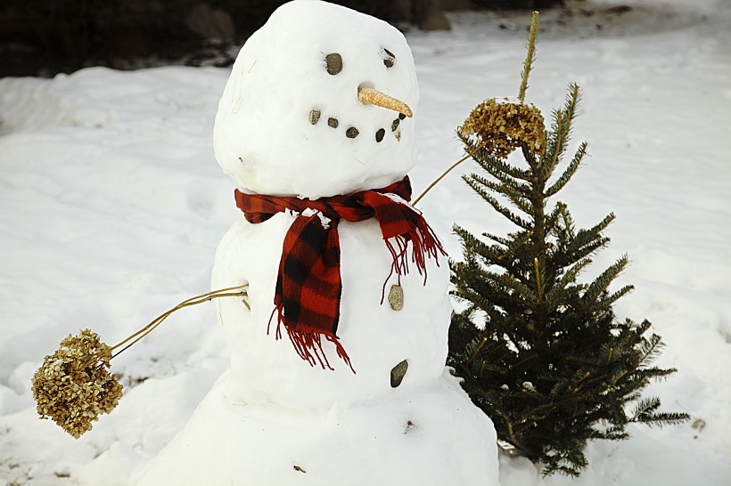 冬季造型独特的雪人图片