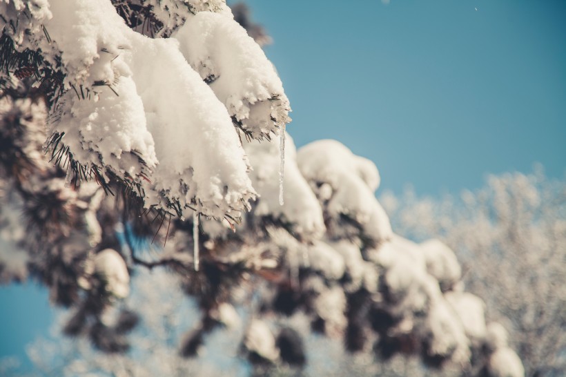 冬季冰雪图片