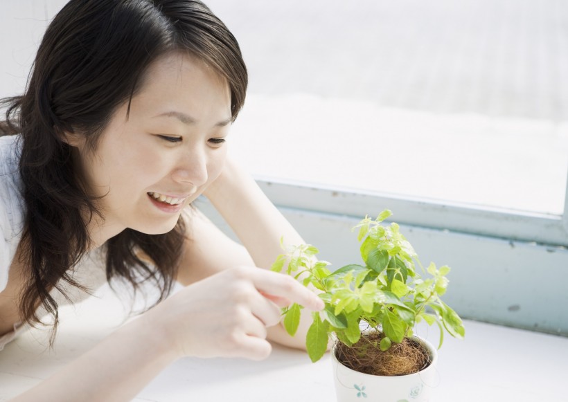 女孩的休闲生活图片