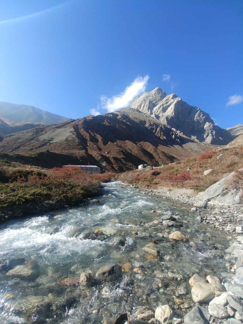 清新优美的林间溪流风景图片