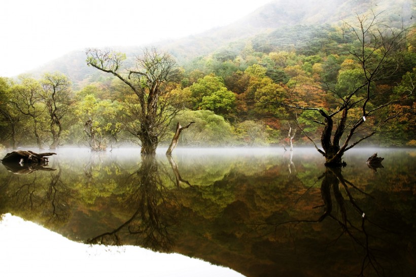 湖光山色图片