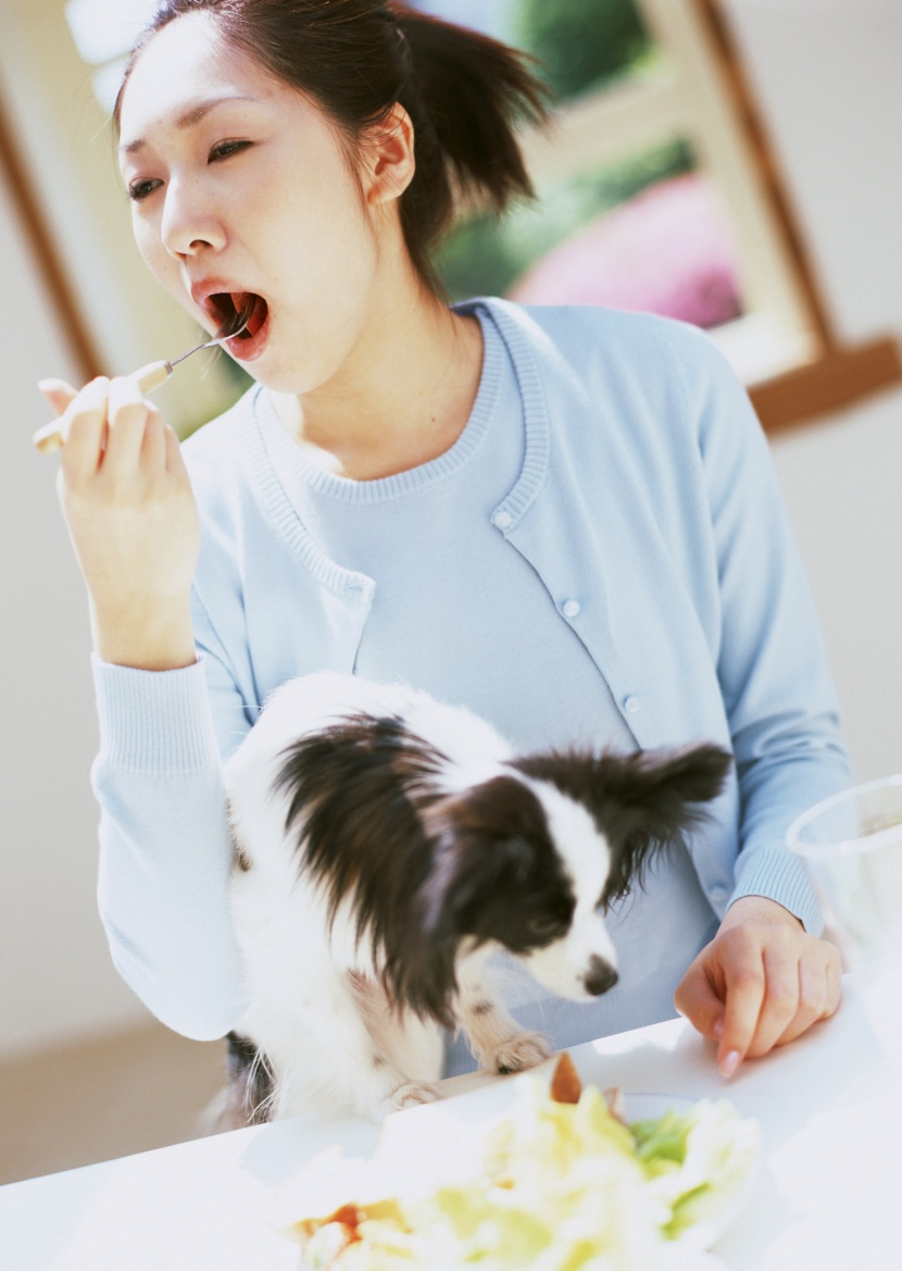 人和宠物狗狗生活图片