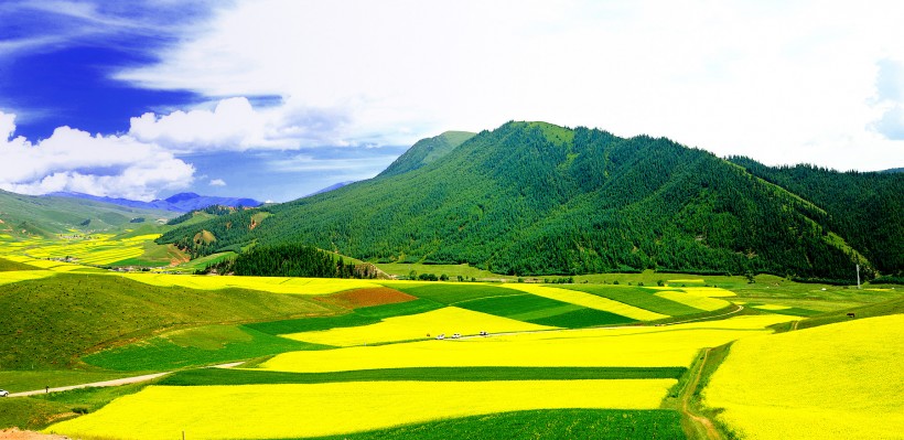 青海門源風(fēng)景圖片