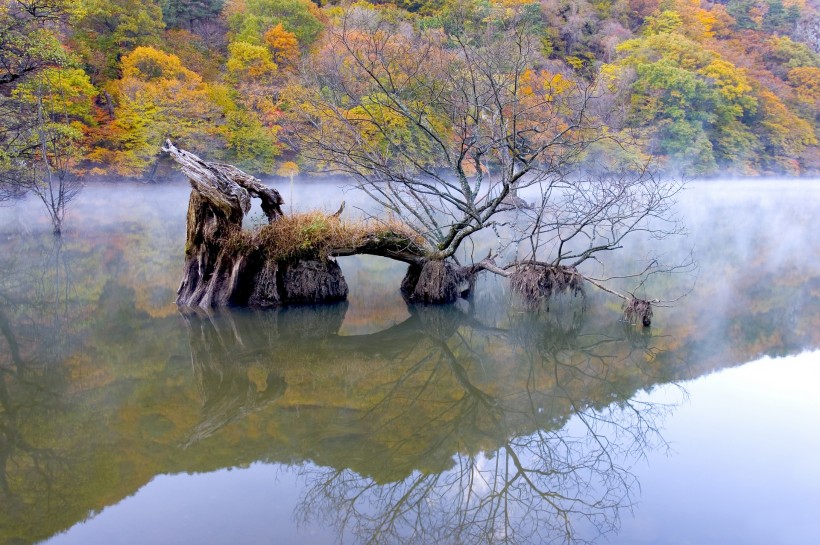 湖光山色图片