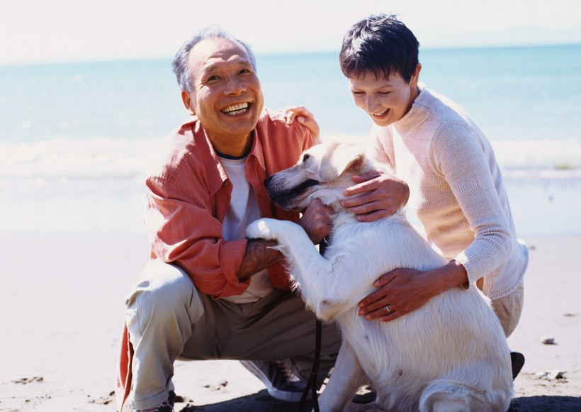 海边度假老年人图片