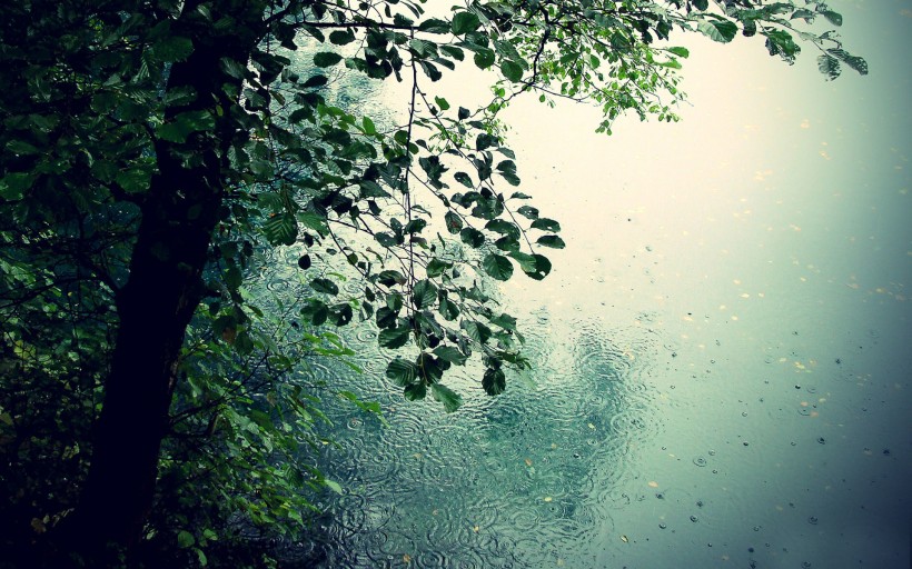 雨天风景图片