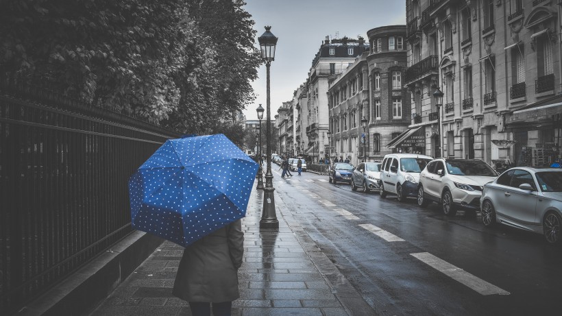 遮阳挡雨的雨伞图片