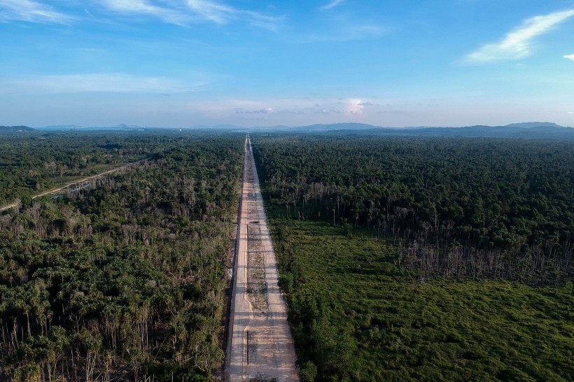 树林里的公路图片