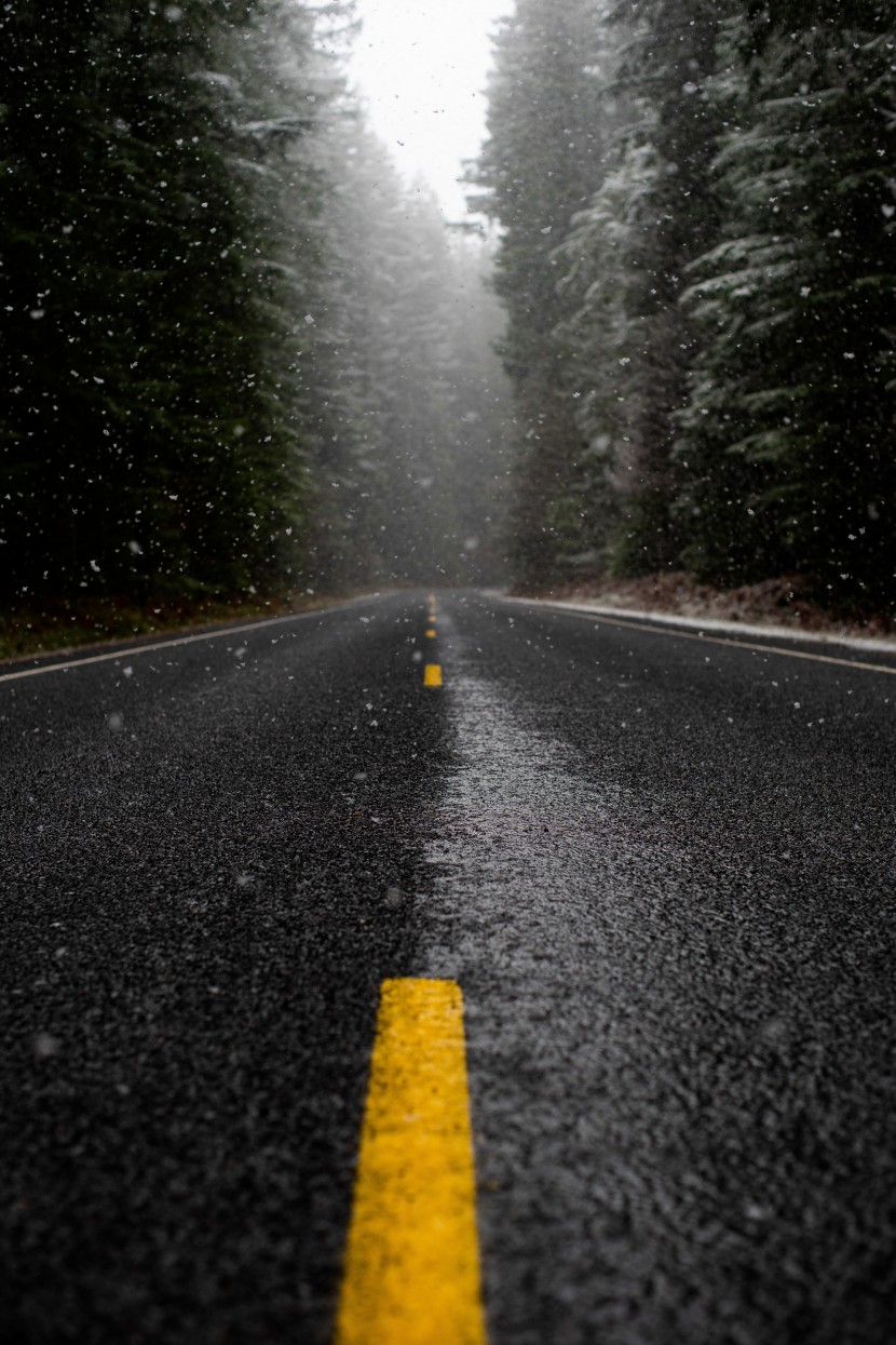 湿漉漉的雨后公路图片