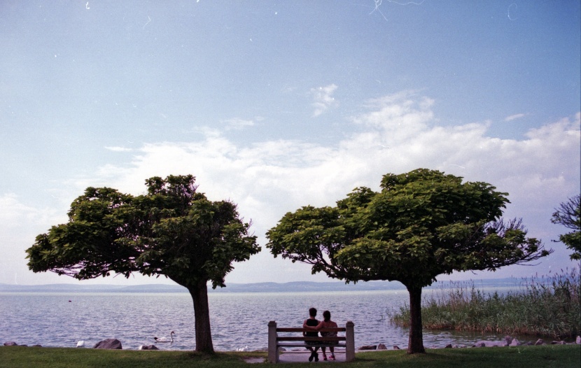 寂寞的公園長椅圖片