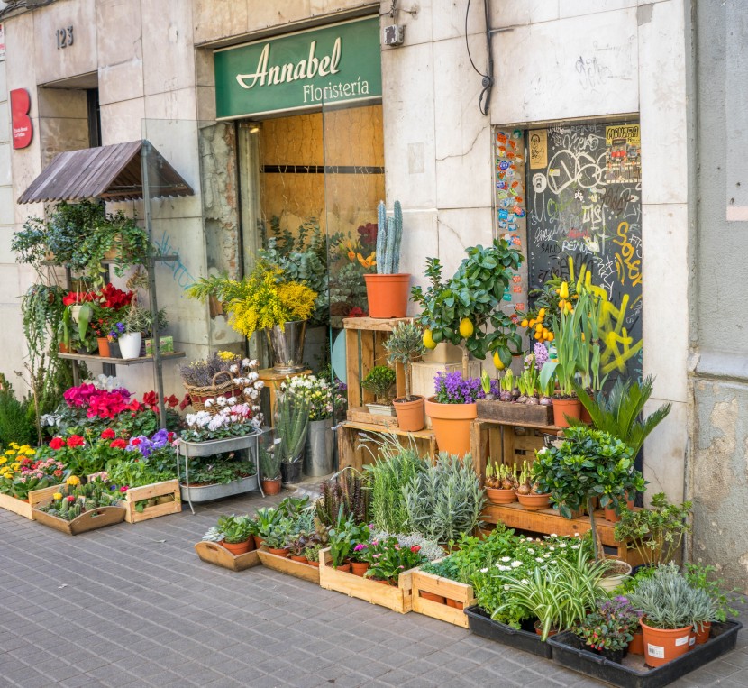 温馨的街边花店图片