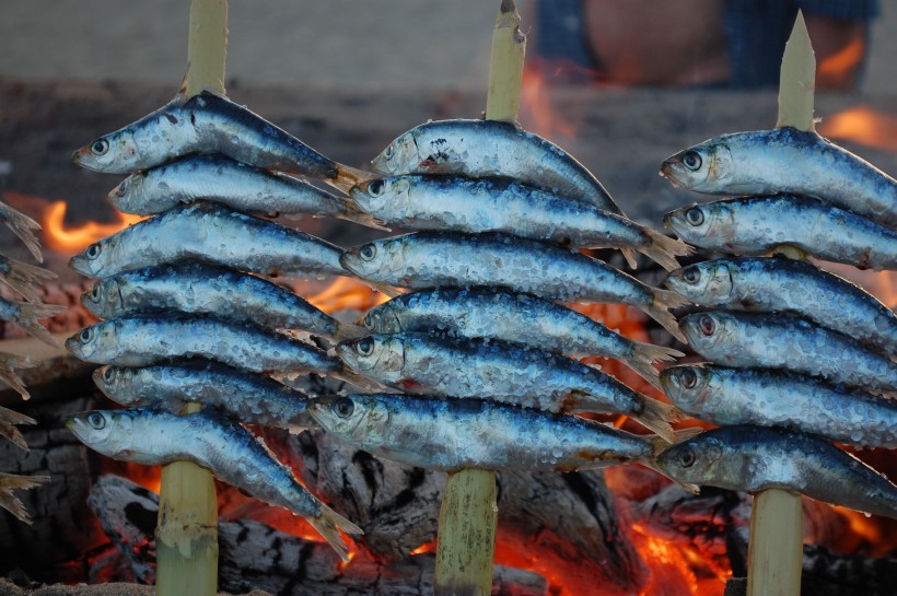 鮮嫩可口的沙丁魚料理圖片