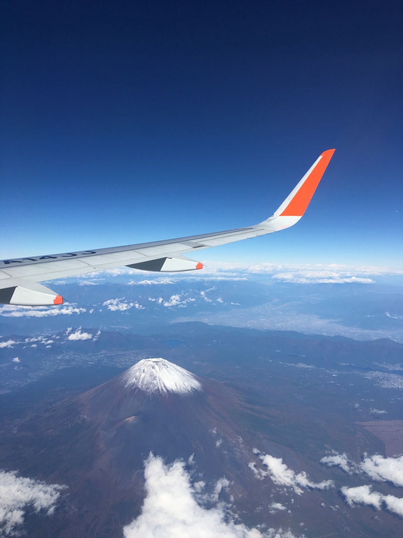 高空中的飞机机翼图片