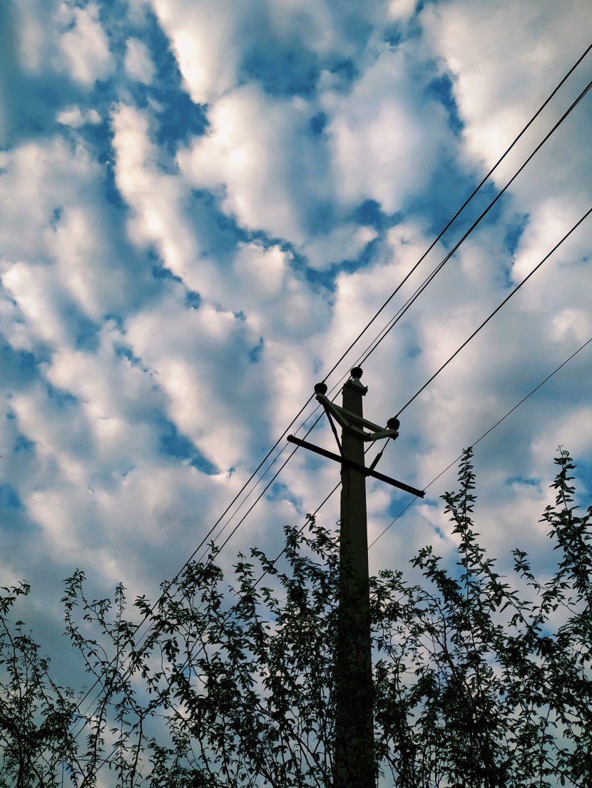 晴空下的電線桿圖片