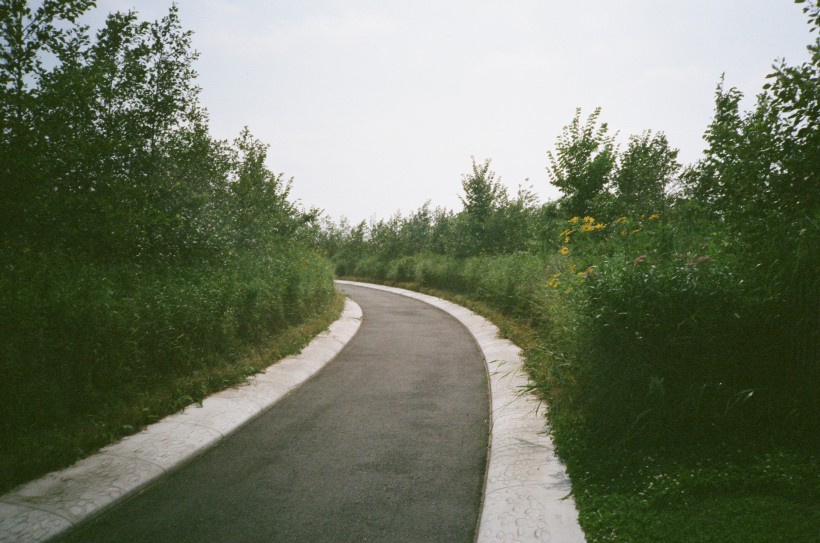 蜿蜒的沥青公路图片