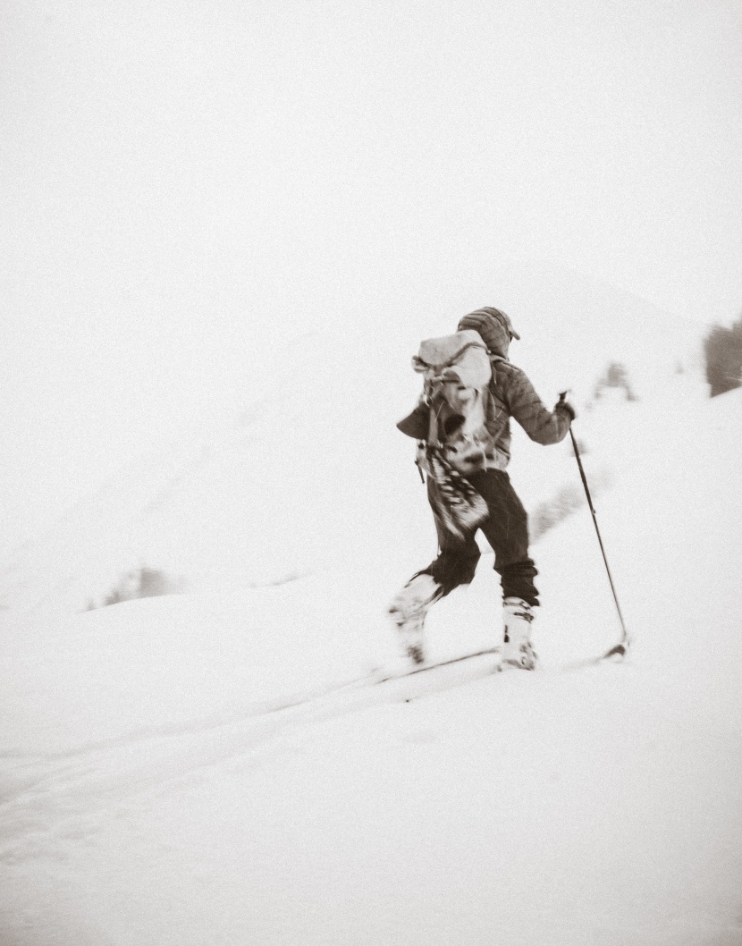 高山滑雪运动图片