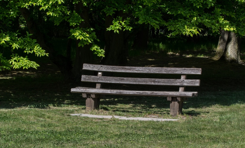 孤寂的公園長椅圖片