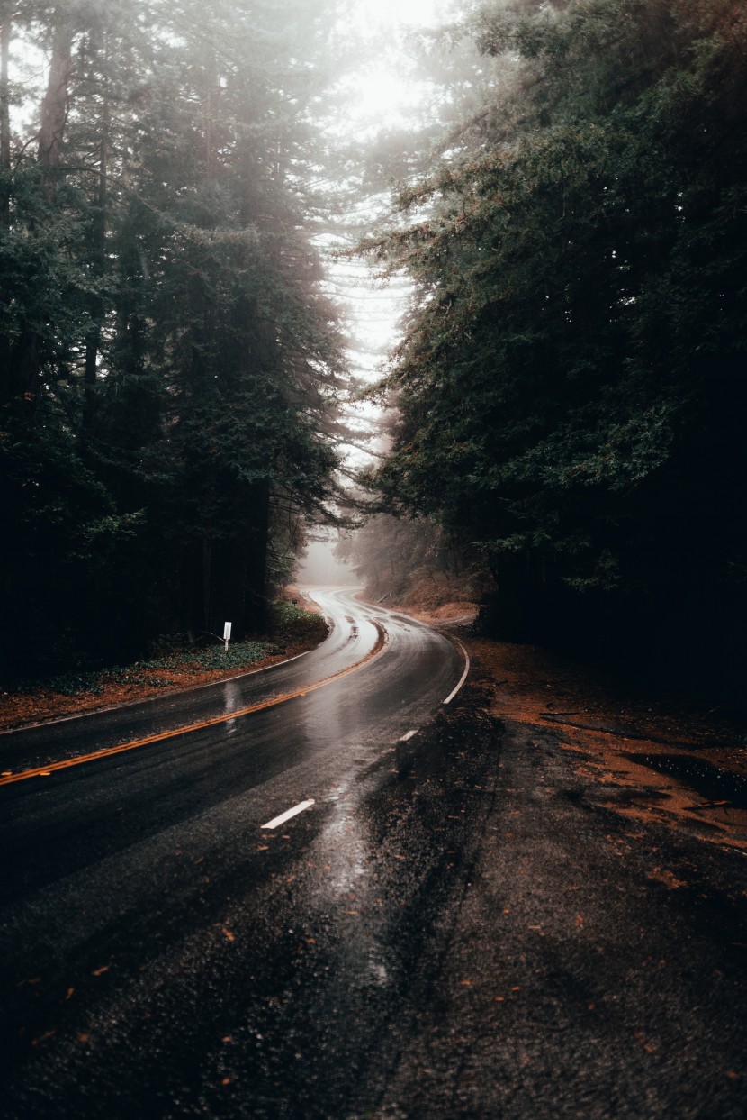 濕漉漉的雨后公路圖片