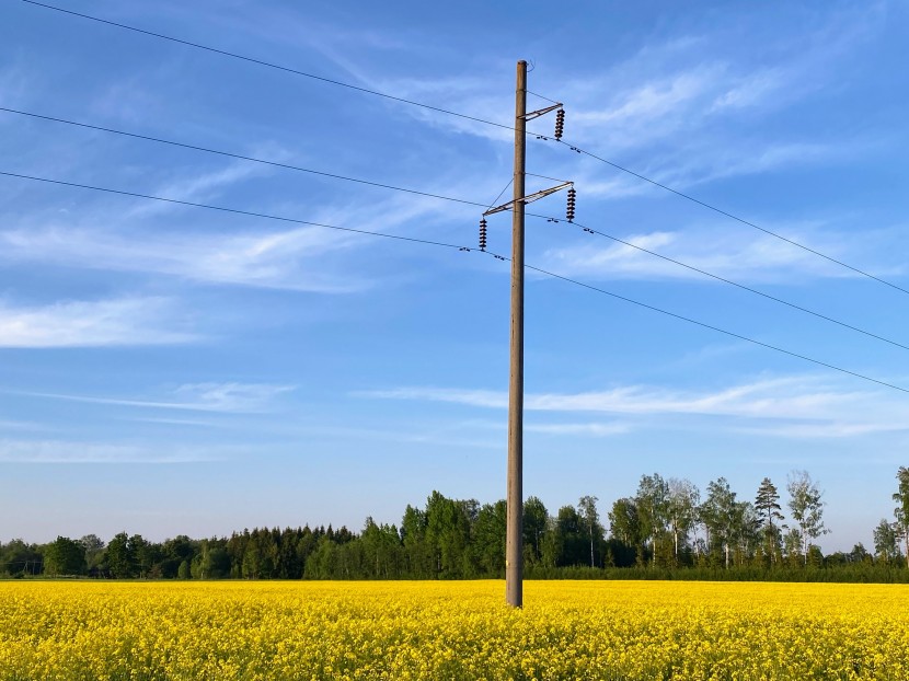 晴空下的電線桿圖片