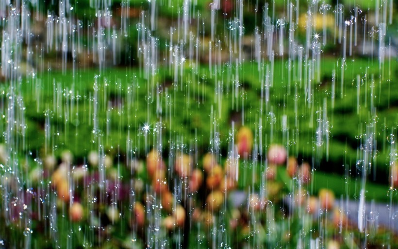 雨天风景图片