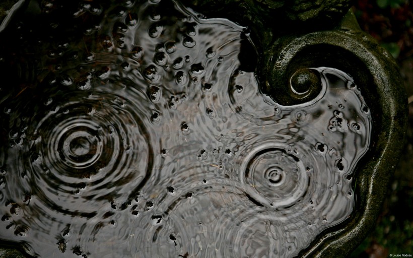 雨滴图片