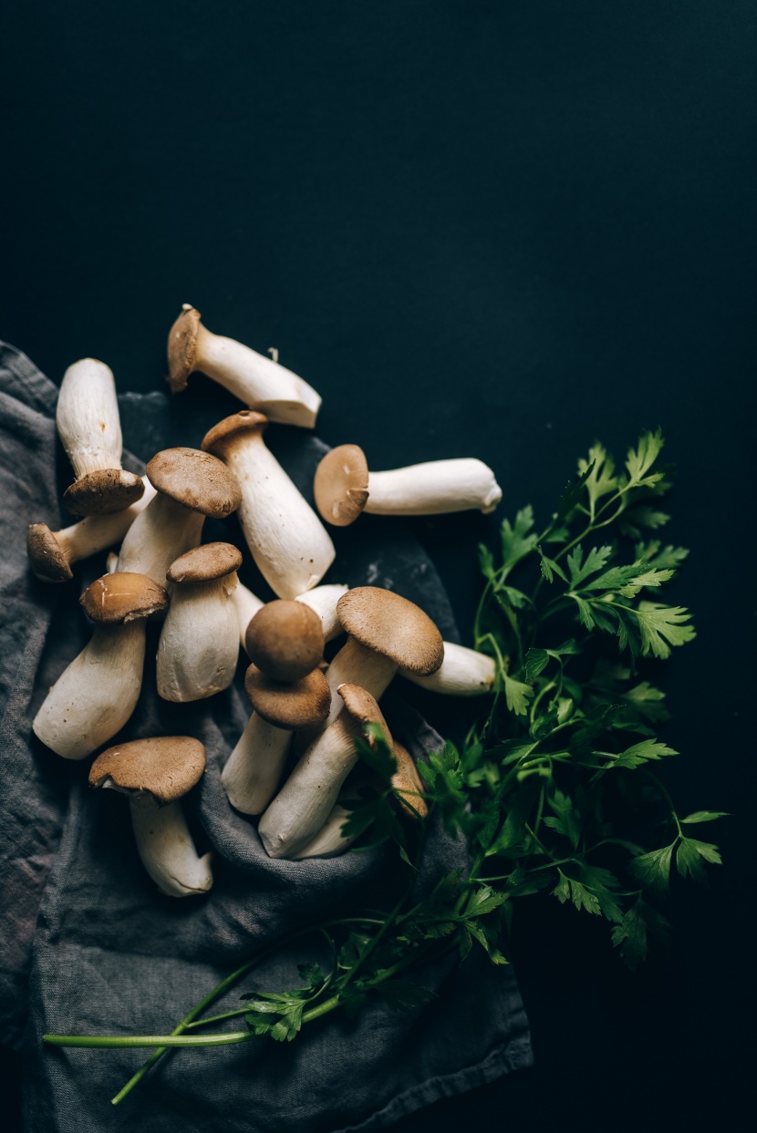 美味可食用的蘑菇图片