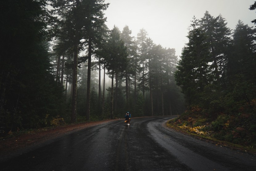 濕漉漉的雨后公路圖片