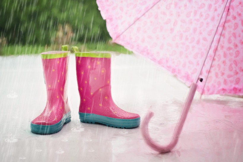 遮阳挡雨的雨伞图片