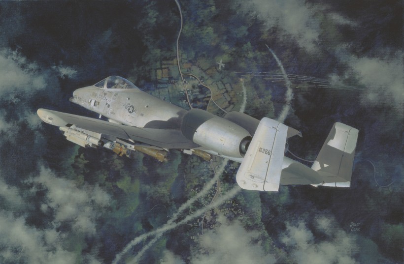 A-10攻擊機(jī)圖片