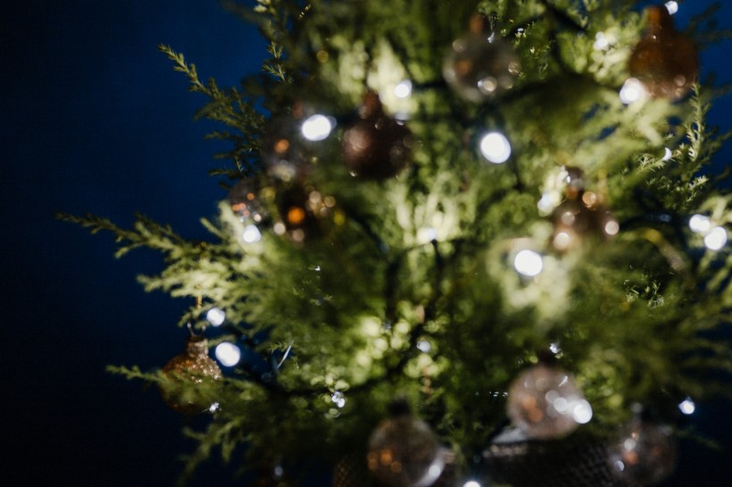 缠满小灯泡的圣诞树图片