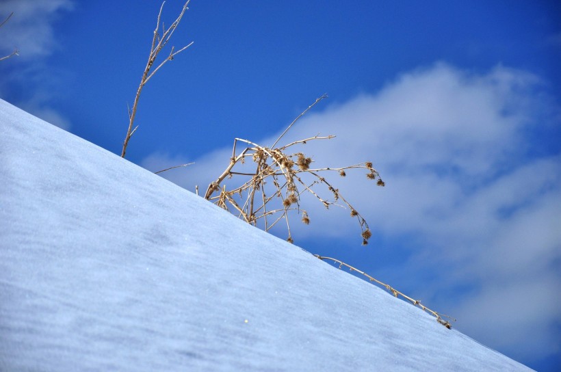 高山滑雪场图片