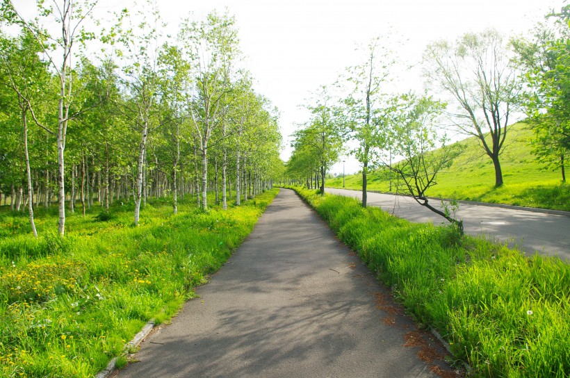 日本札幌市莫埃来沼公园图片