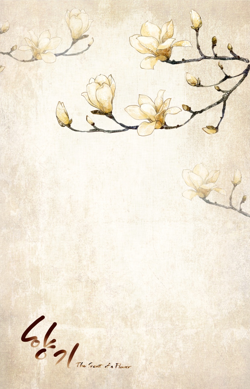 纯洁白色韩国花朵背景图片