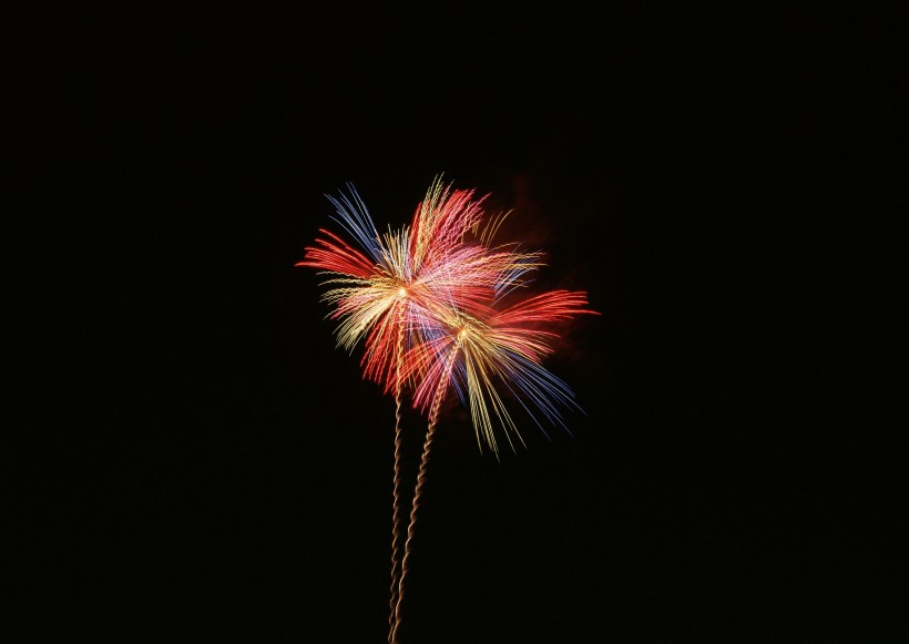 美丽的烟花图片